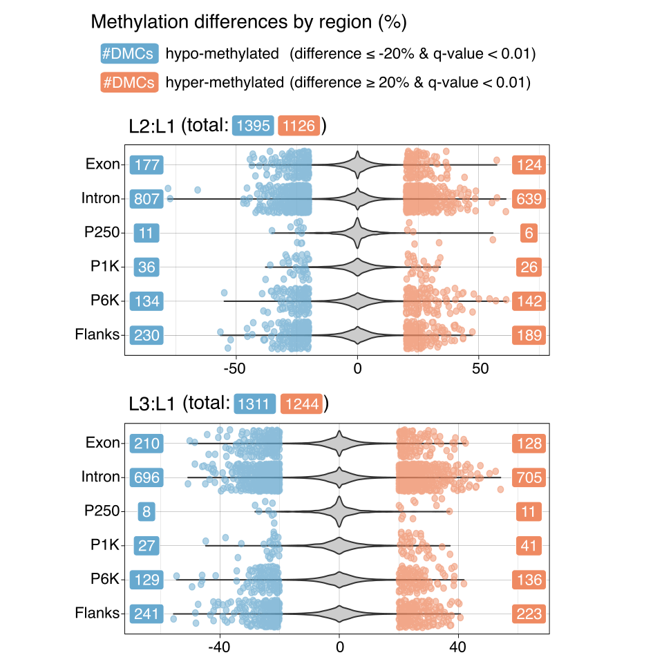 Violin plots of DMCs